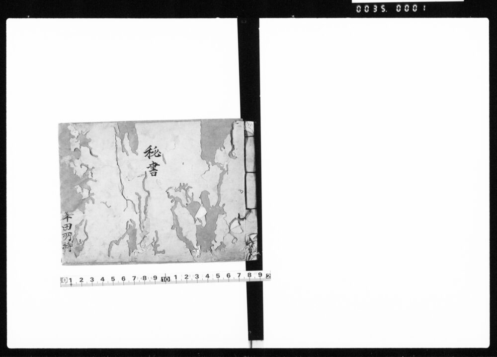 作品画像：秘書