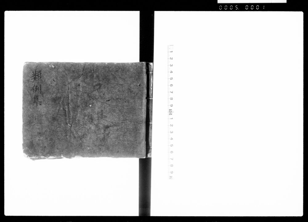 作品画像：類例集