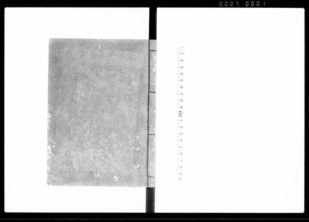 作品画像：黄素妙論