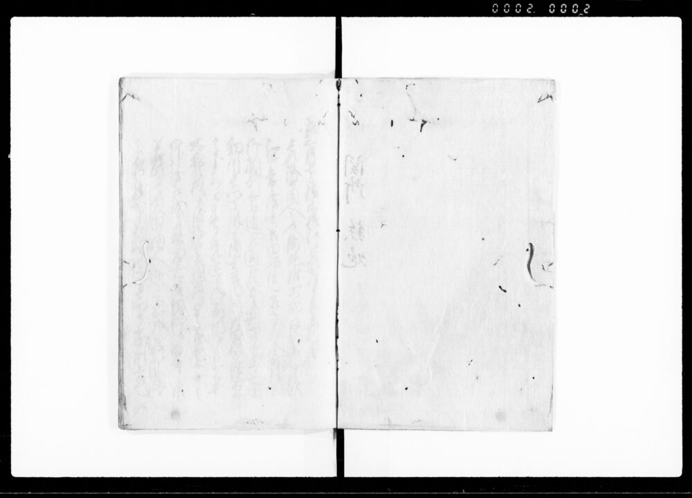 作品画像：例集