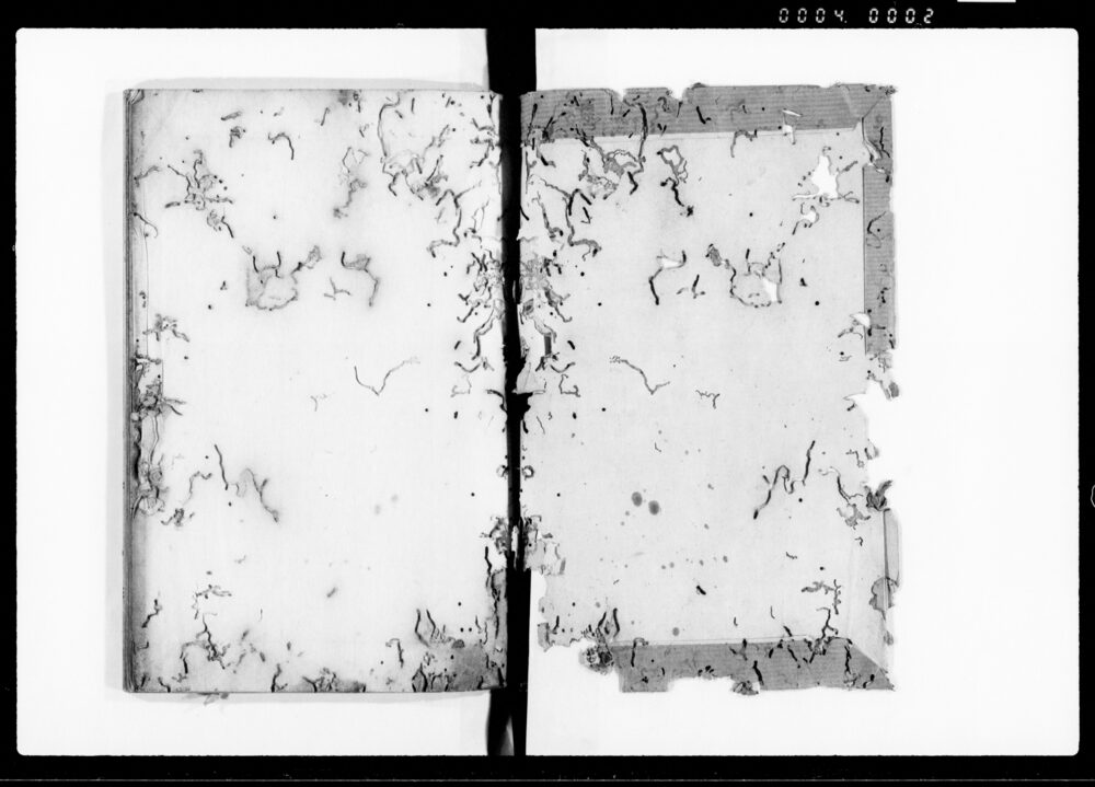 作品画像：撰要 一