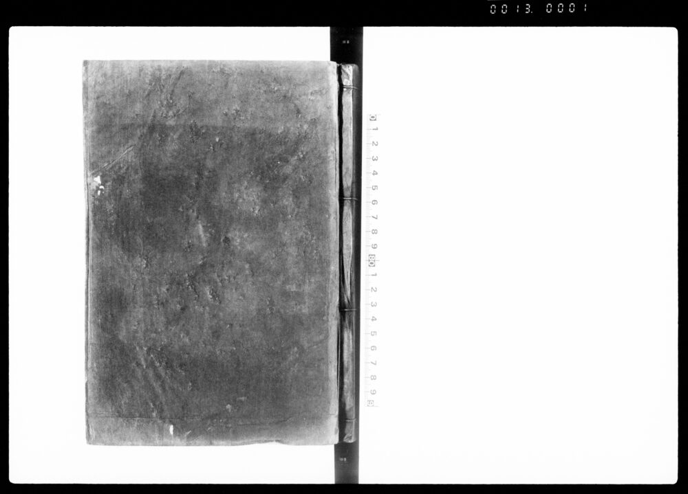 作品画像：[御仕置例類集]