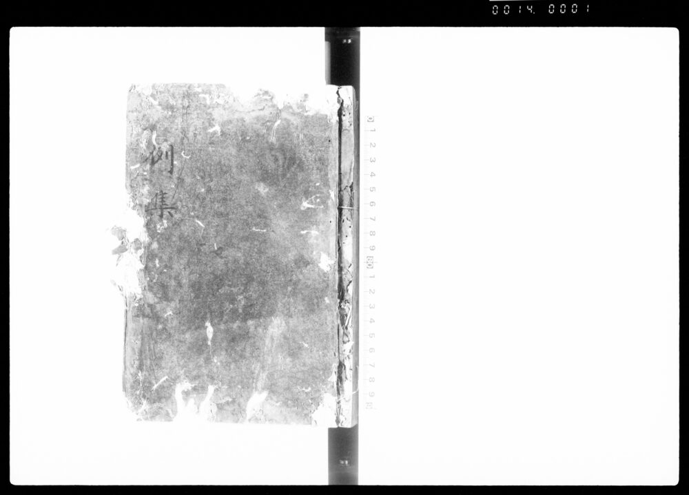 作品画像：例集