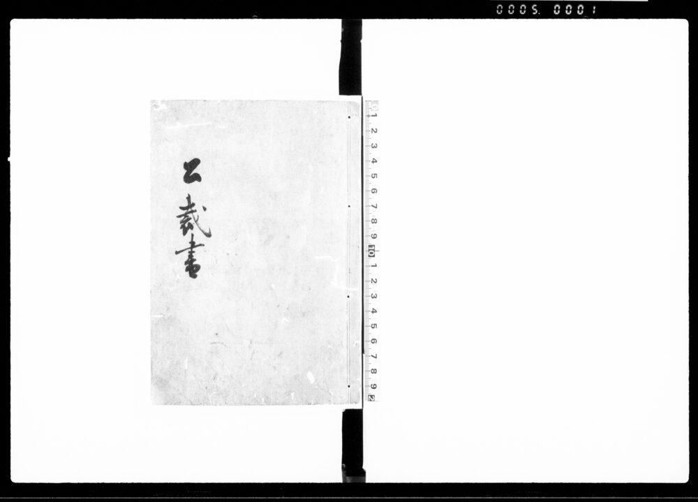 作品画像：公裁書