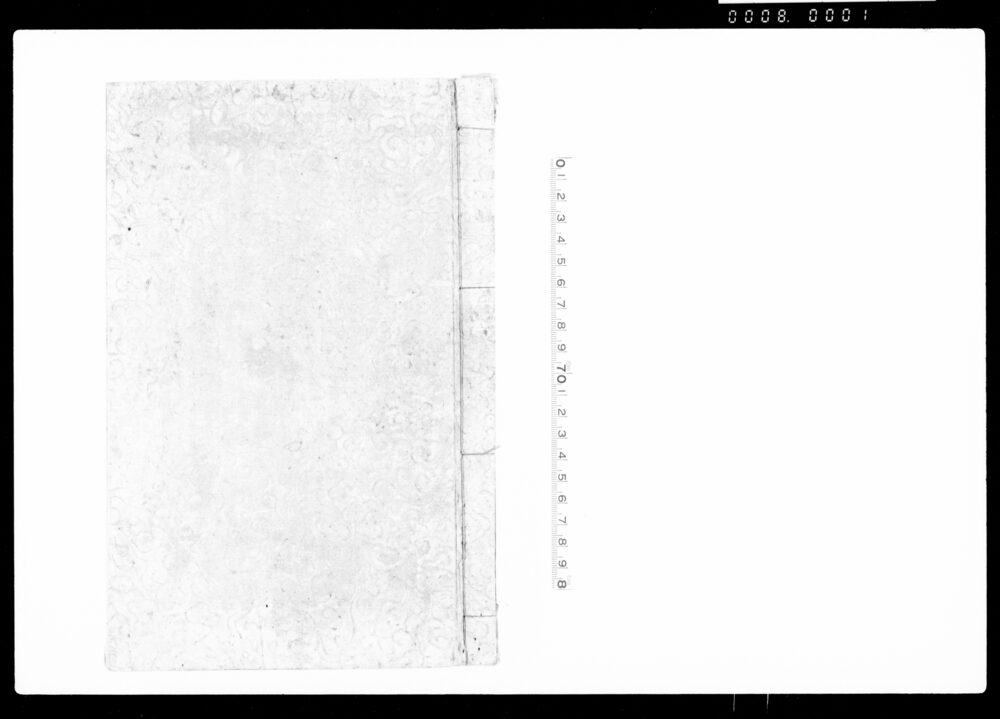 作品画像：安永律