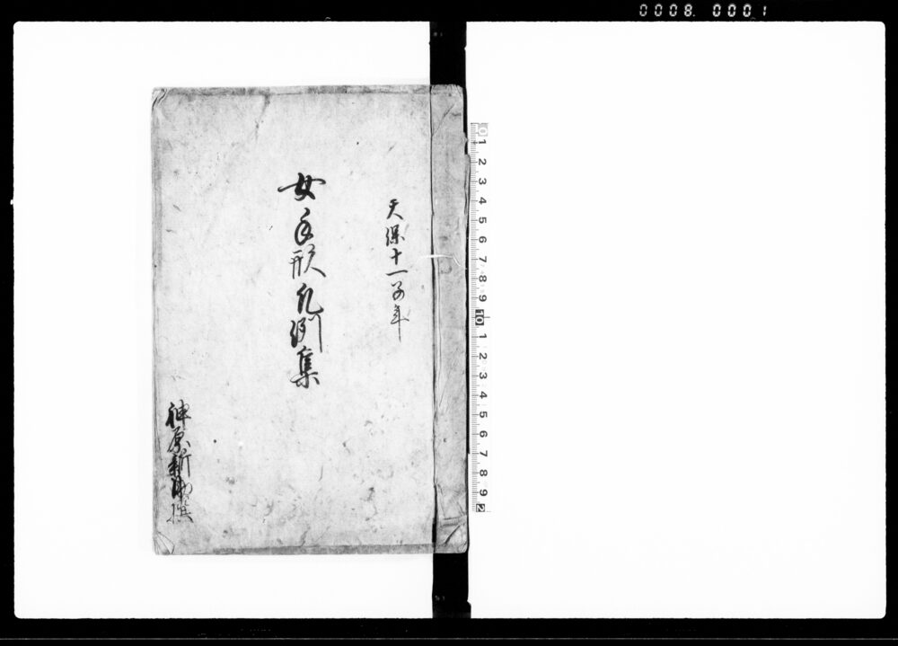 作品画像：女手形凡例集