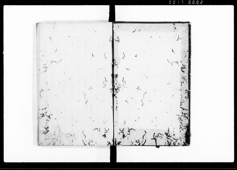 作品画像：旧事夜話大尾