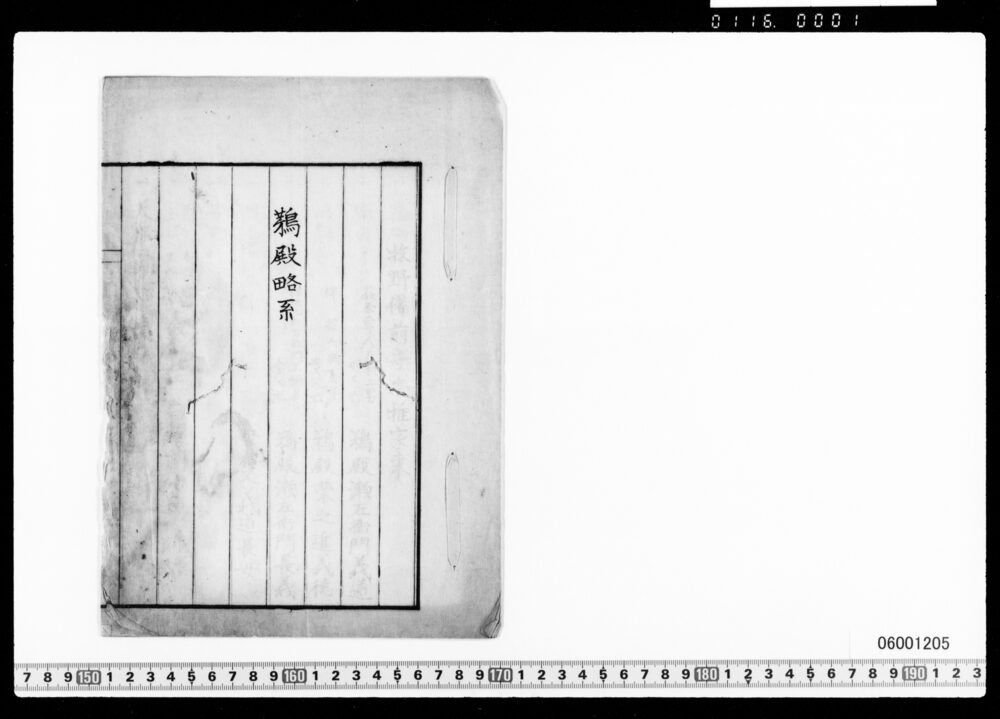 作品画像：鵜殿略系(鵜殿団次郎略系譜)