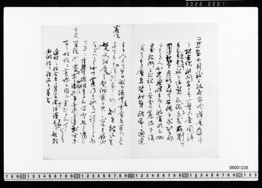 作品画像：[原稿草稿](憲法制定・国会開設)