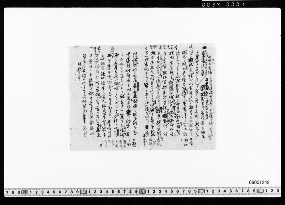 作品画像：[原稿断簡](万延から慶応までの記事・序文)