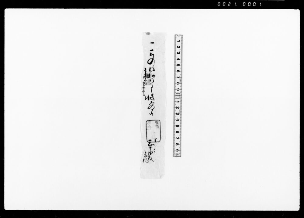 作品画像：[赤札三十四枚分代金受取]