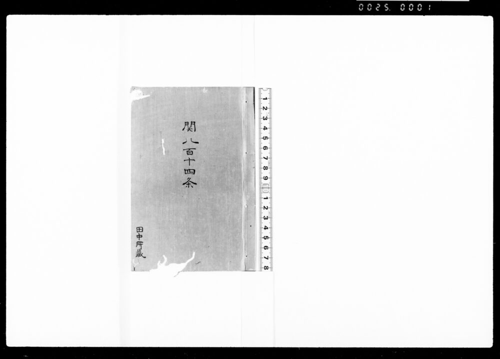 作品画像：関八百十四条