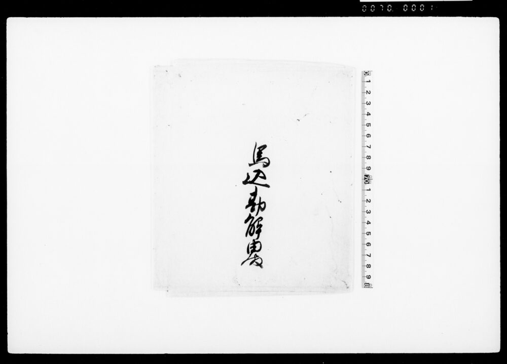 萌黄下濃葛袴（装束着用免状）