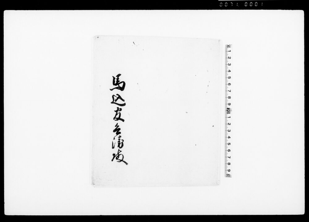 紫下濃葛袴（装束着用免状）