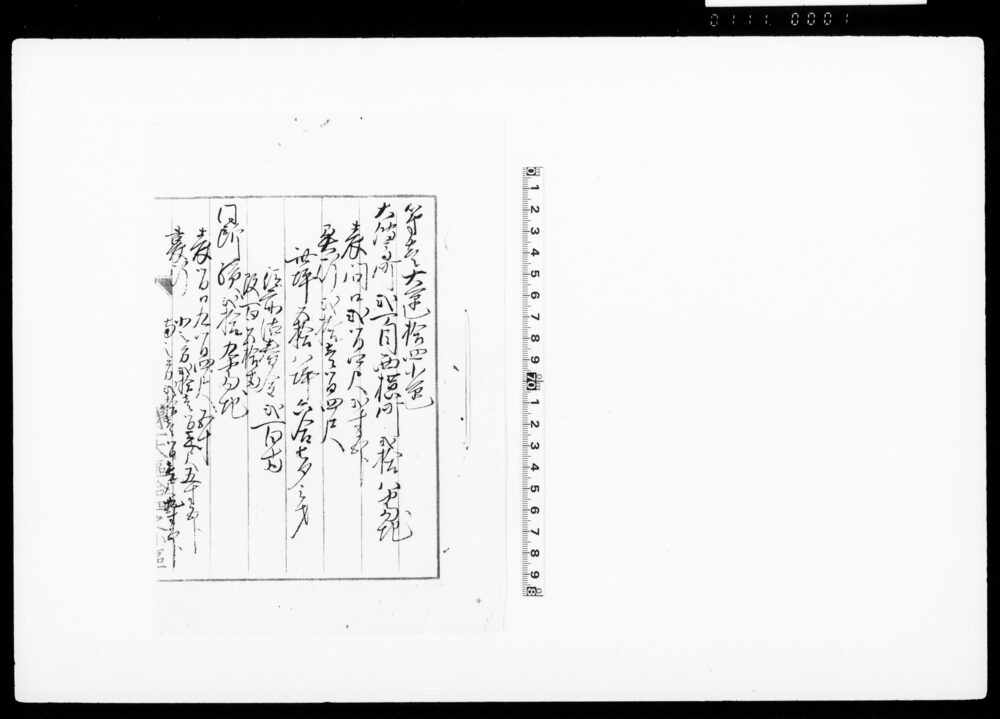 [大伝馬町弐丁目西横町弐拾八番地弐拾九番地券状御渡願]