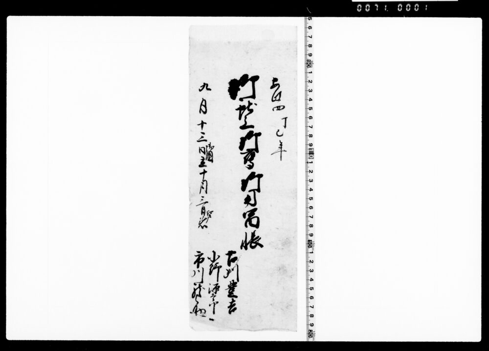 作品画像：御献上御鷹御用留帳