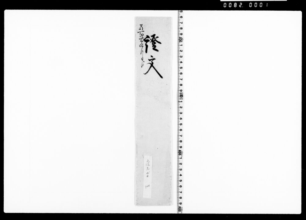 作品画像：借用申金子之事(戸田越前守勝手向要用に付金五百両借用)
