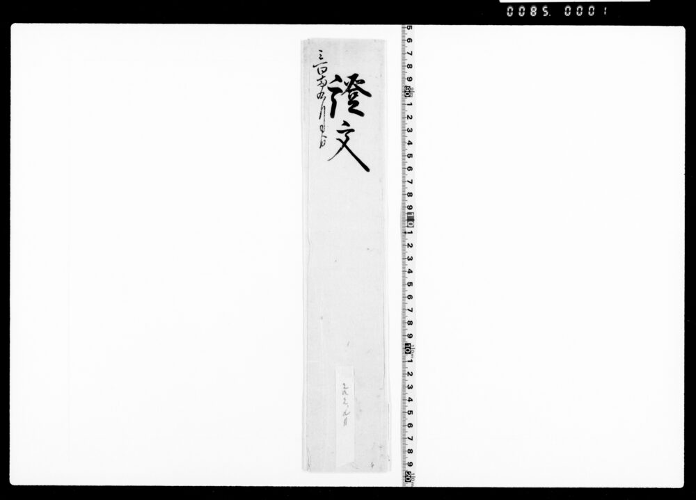 作品画像：借用申金子之事(勝手向要用につき金三百両借用証文)