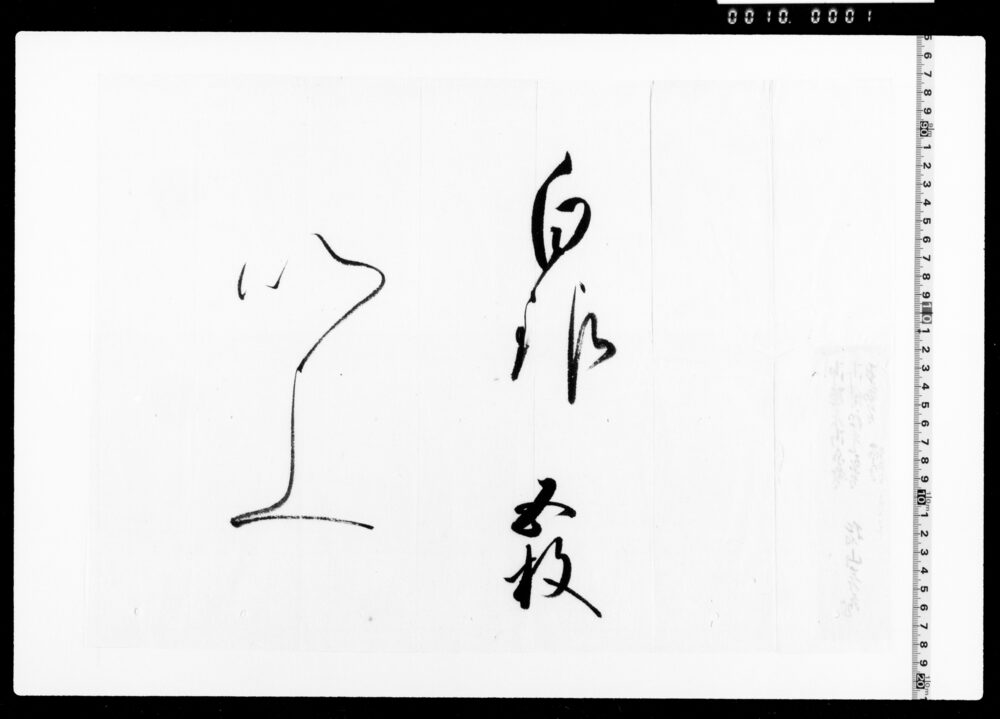 作品画像：中納言様より被下白銀の覚