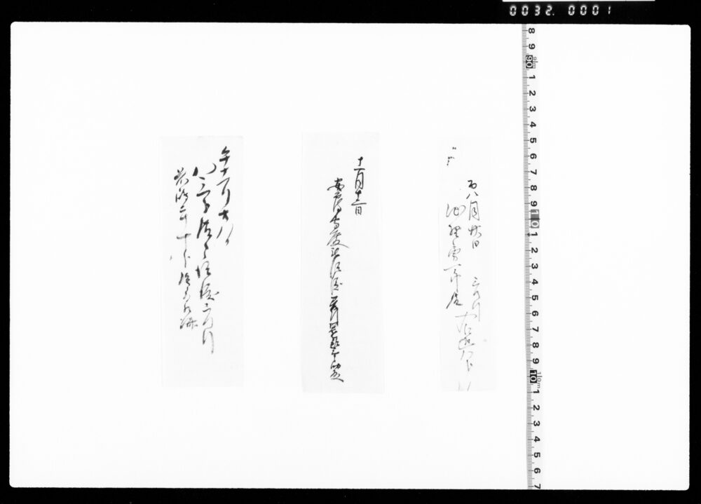 作品画像：申渡断簡