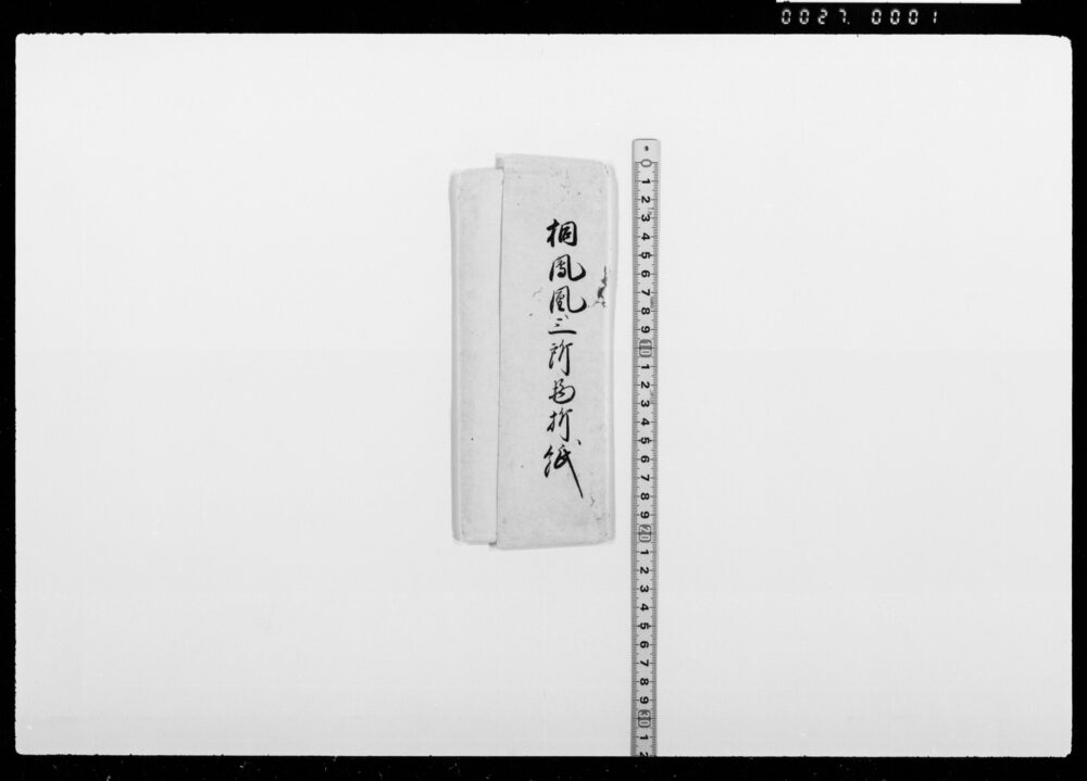 作品画像：桐鳳凰三所物折紙写