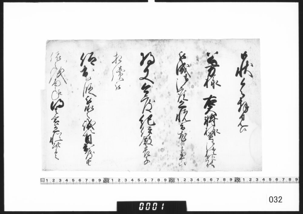 奉書断簡(紀伊殿養子相続につき)