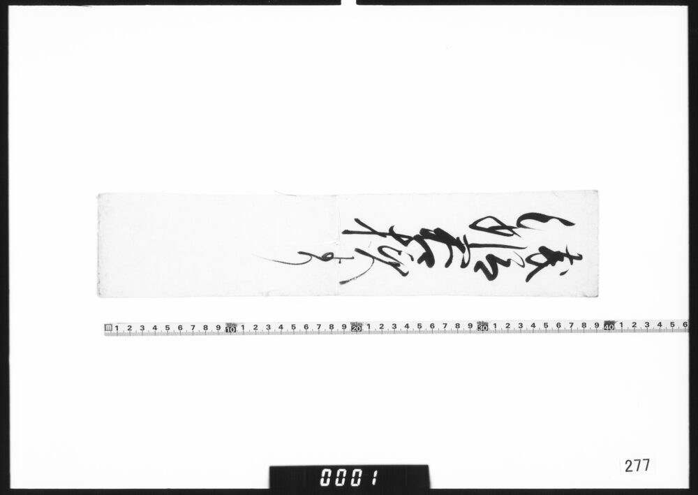 目録断簡「浅姫君様より」