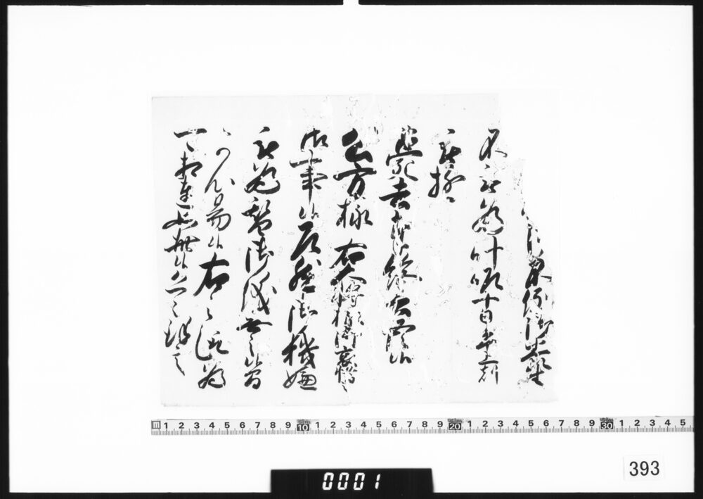 奉書断簡(広大院薨去につき)