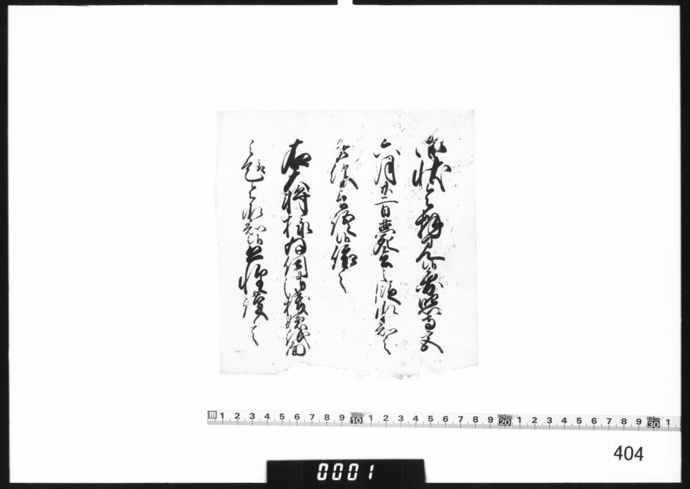 奉書断簡(円照寺宮薨去につき)