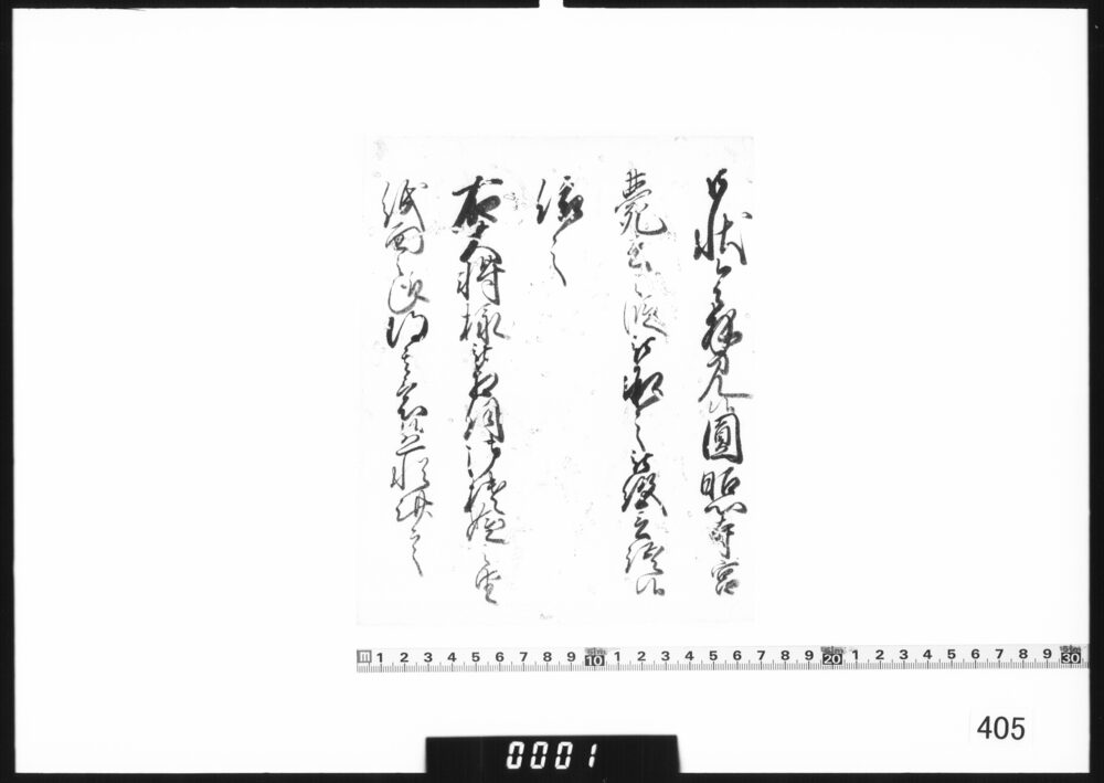 奉書断簡(円照寺宮薨去につき)