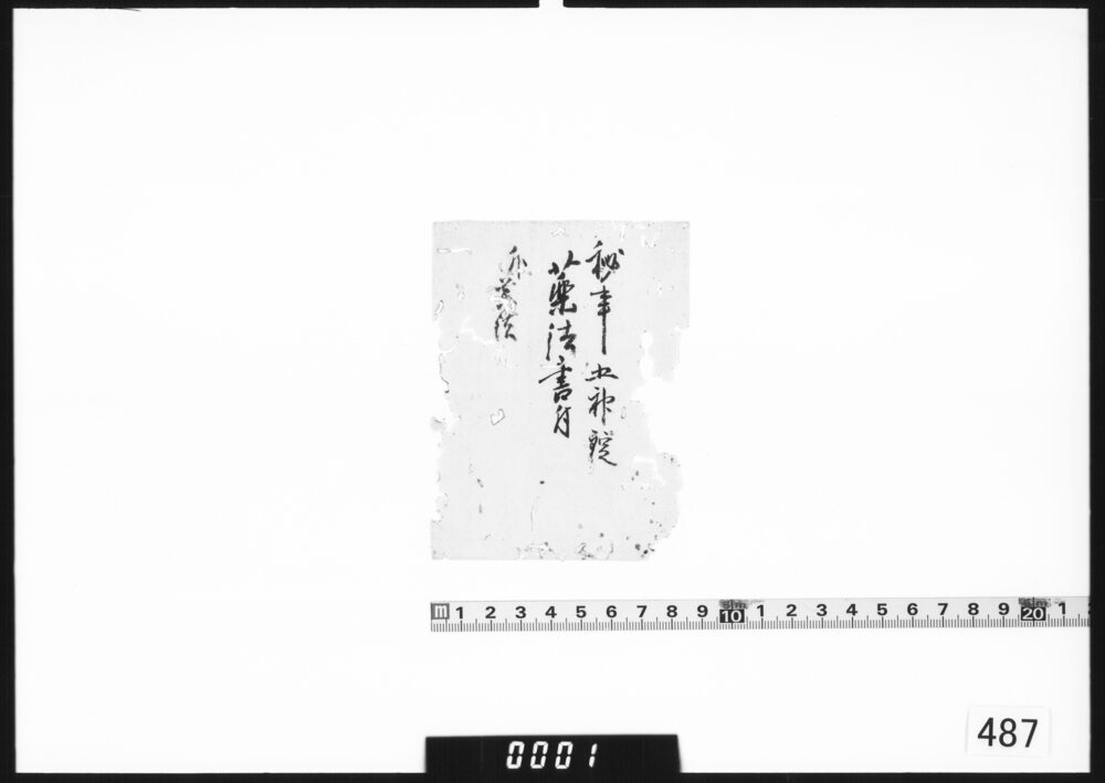 付札(五神錠薬法書付)