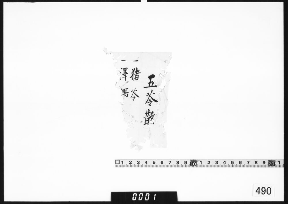 文書断片(五苓散薬法書)