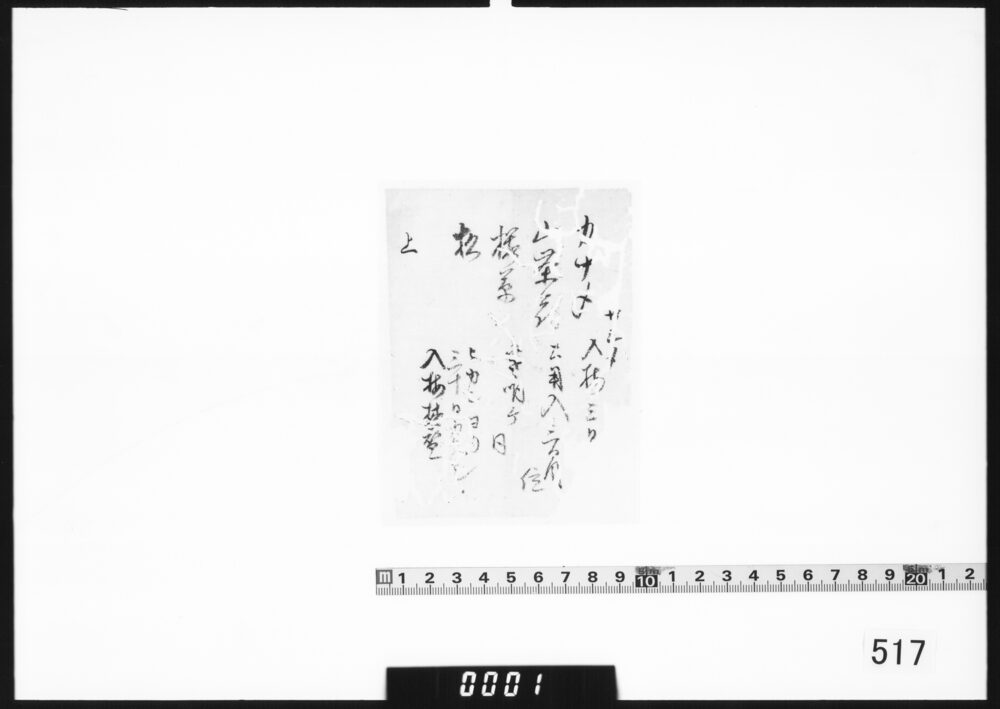 文書断片(草木の栽培)