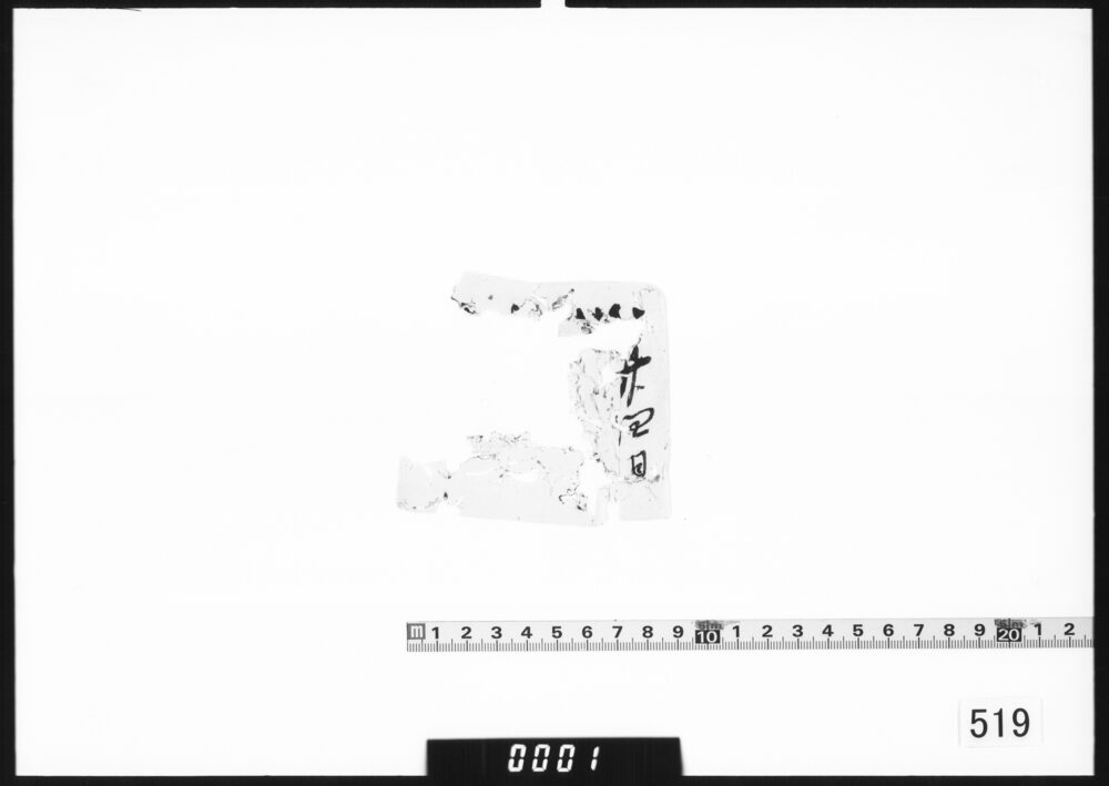 文書断片｢廿四日｣