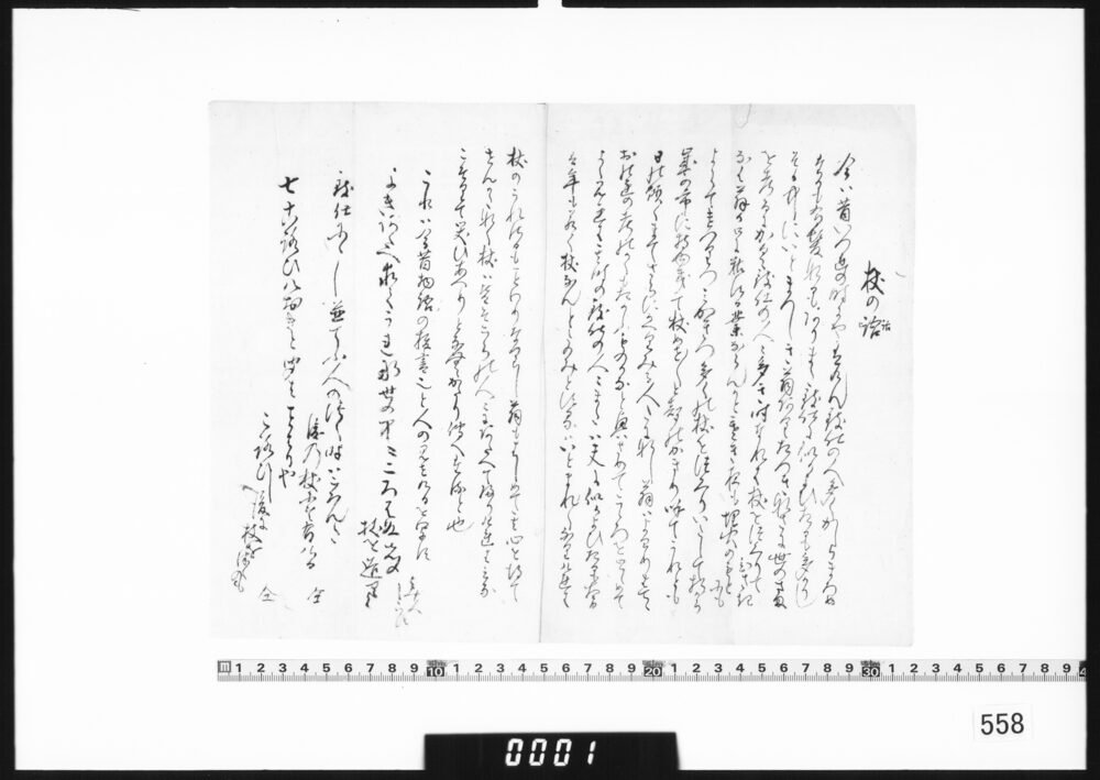 杖の話