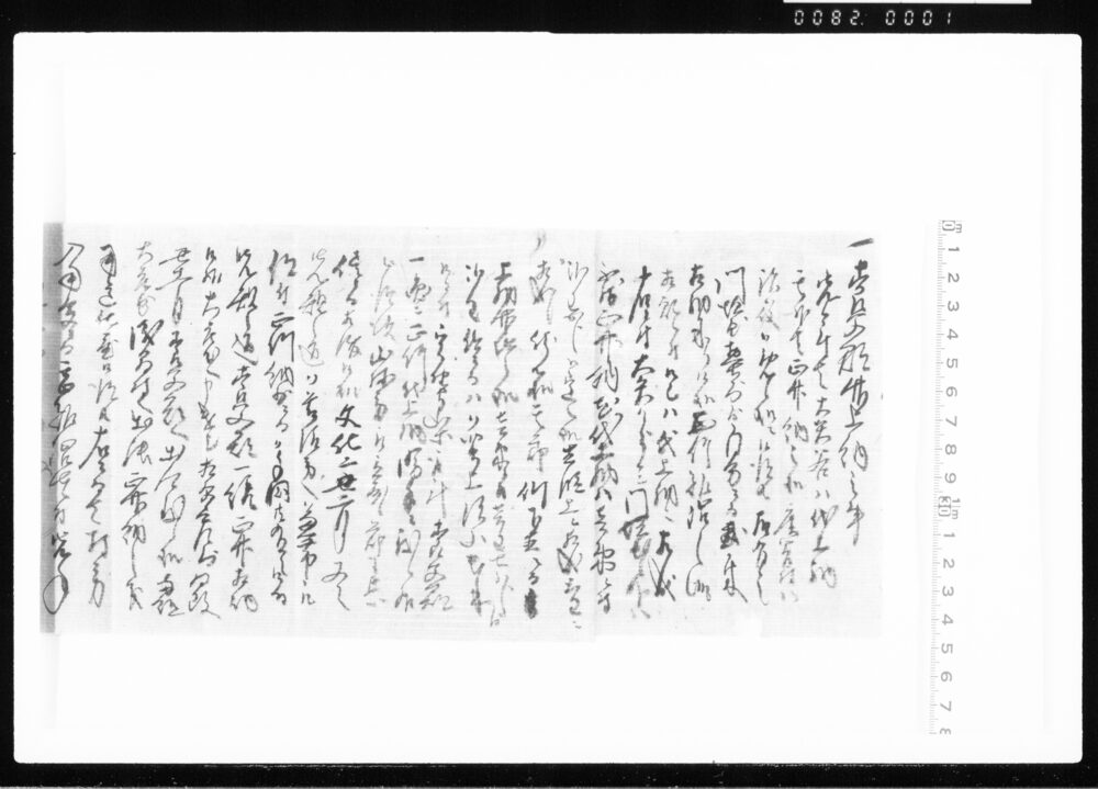 養父郡御上納之事 江戸幕府御徒組相原家文書