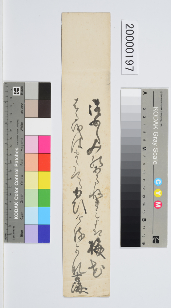作品画像：和歌短冊「御めくみの」