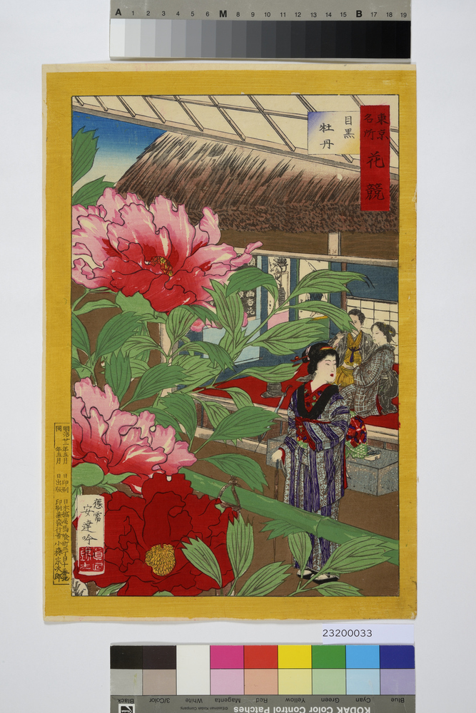 東京名所花競　目黒牡丹