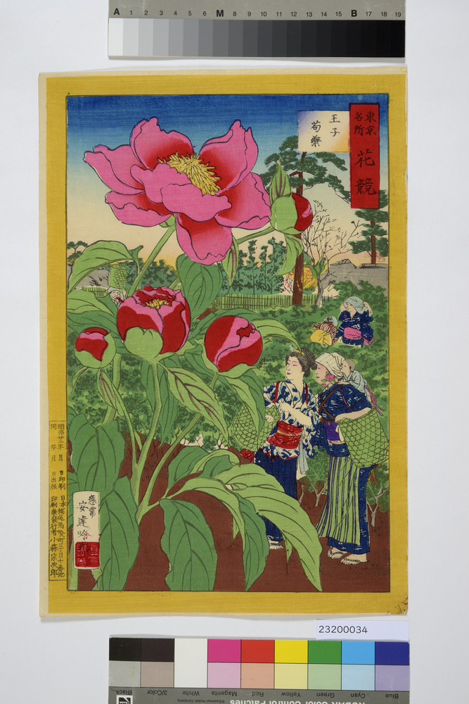 東京名所花競　王子芍薬