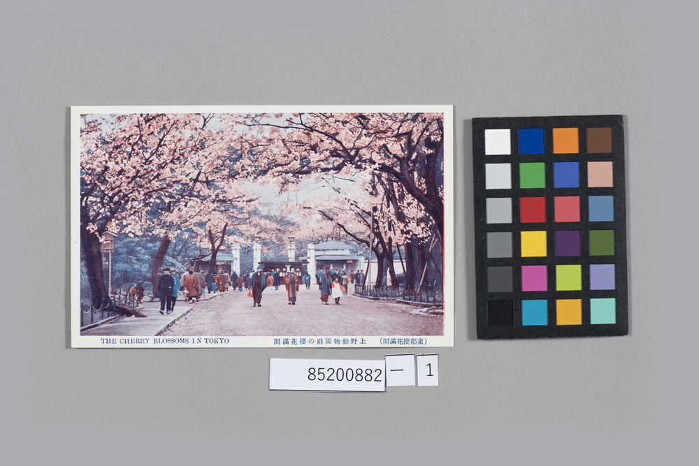 大東京絵葉書コレクションアルバム13 東京都十三 上野公園・動物園・帝室博物館・御廟・根岸・谷中・池の端・広小路・上野駅