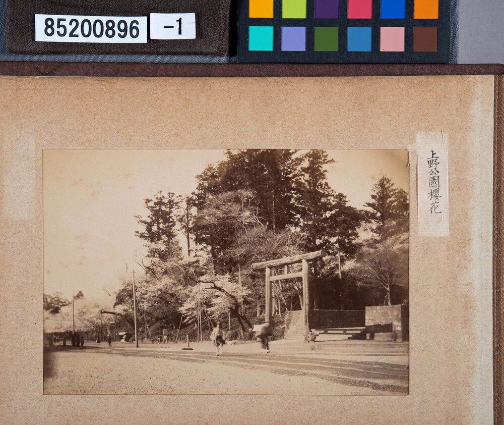 作品画像：明治期写真コレクション東京近郊 第3号