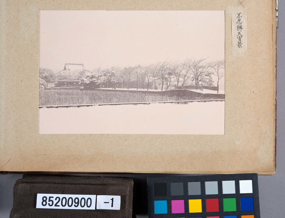 作品画像：明治期写真コレクション東京近郊 第8号
