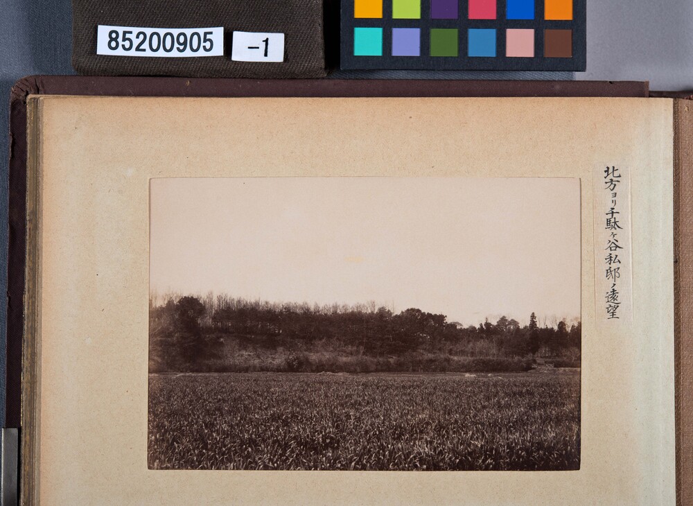 作品画像：明治期写真コレクション東京近郊 第15号