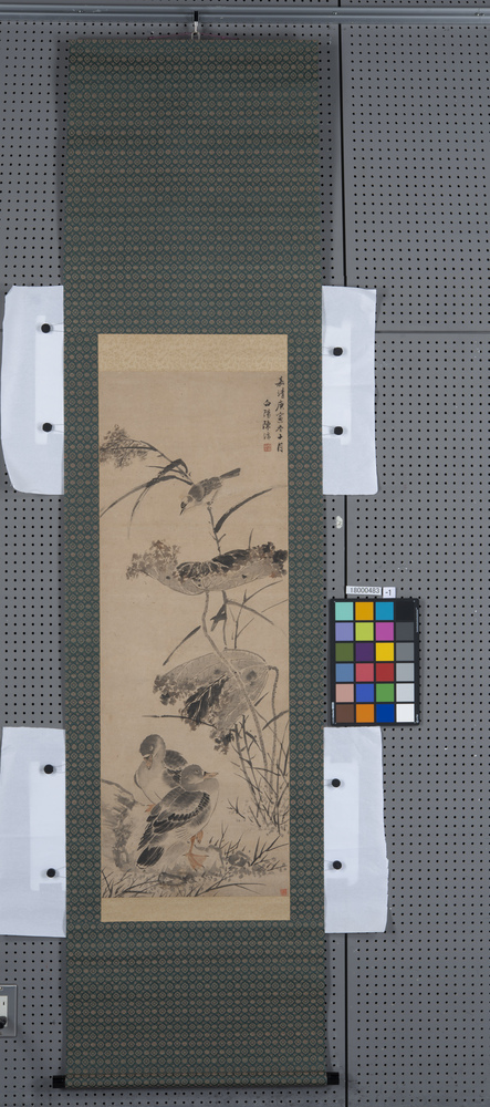 作品画像：画　蓮に水鳥