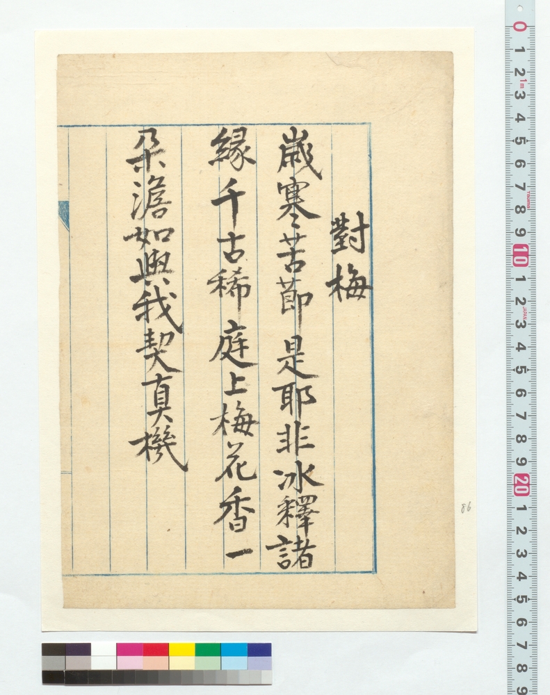 作品画像：漢詩　対梅