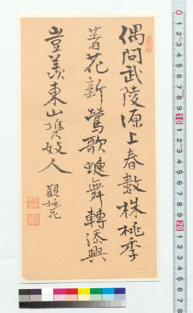 作品画像：漢詩　観桃花