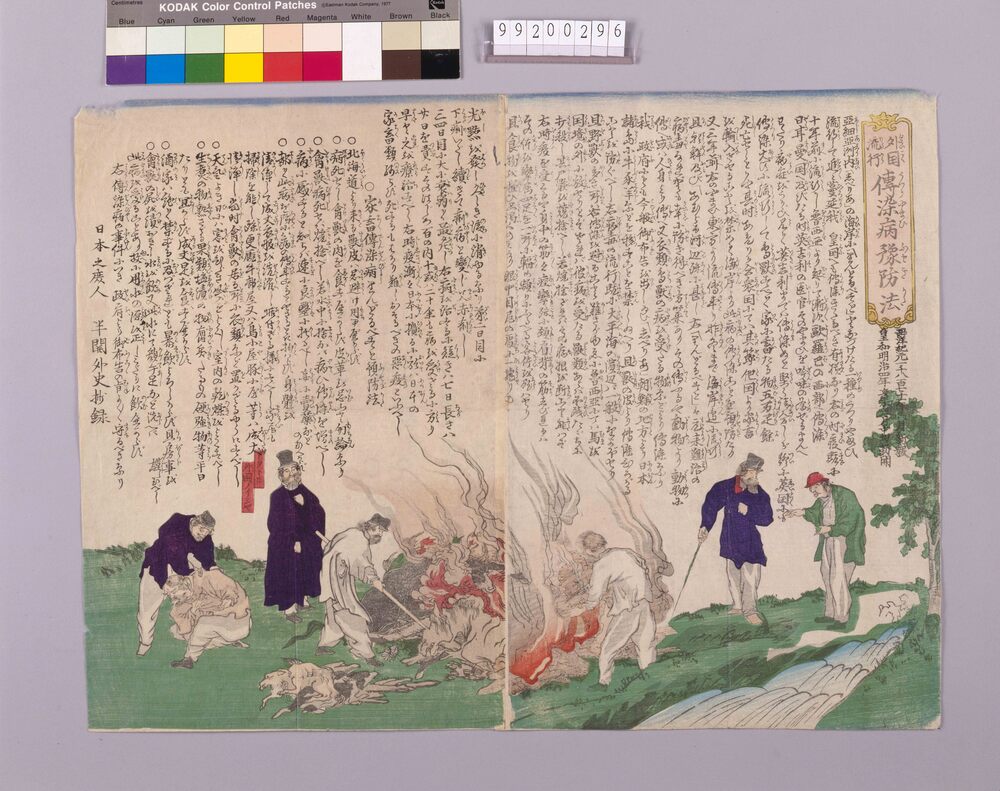 作品画像：外国流行伝染病予防法
