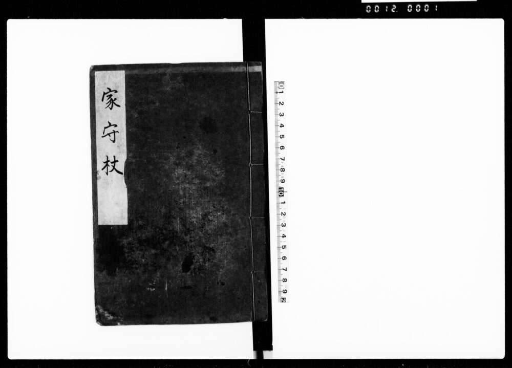 作品画像：家守杖
