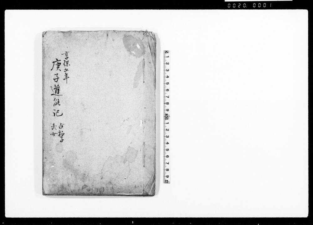 作品画像：庚子道能記