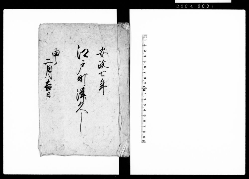 作品画像：江戸町つくし